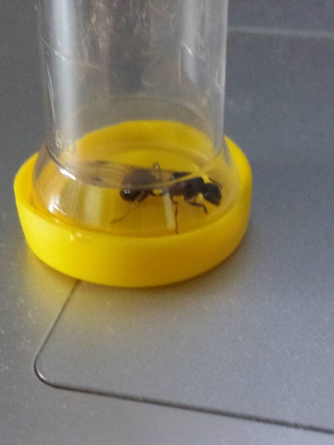 20131005_164325.jpg