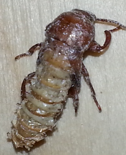 20131007_152849.jpg