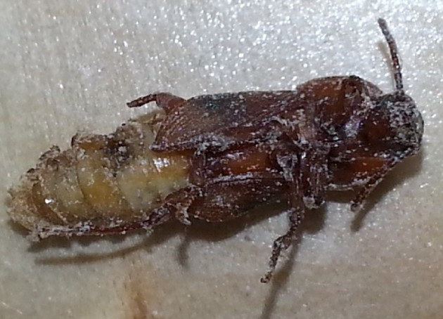20131007_152801.jpg