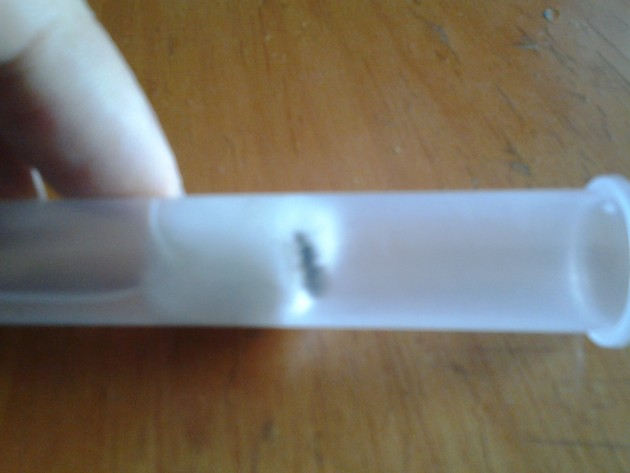 20131020_131329.jpg