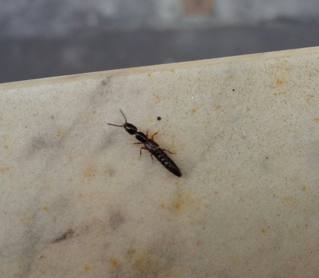 20131021_131350-1.jpg