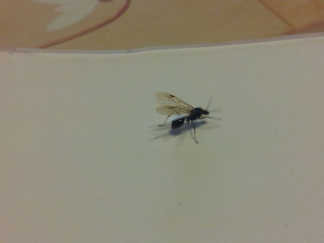 20131021_172236.jpg