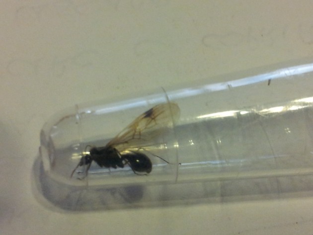 20131021_172115.jpg