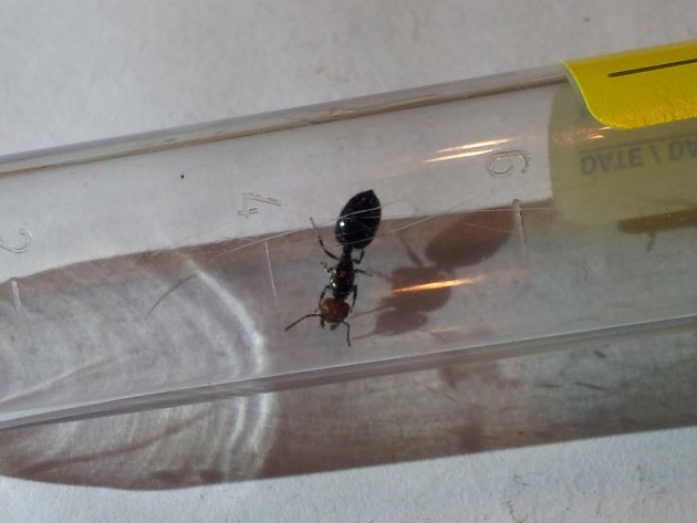 20131022_193816.jpg