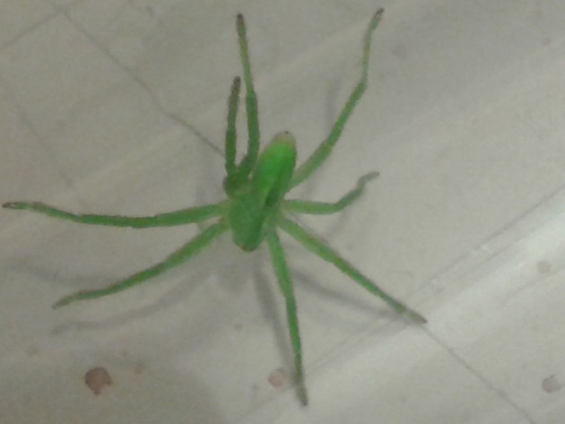 20131110_191722.jpg