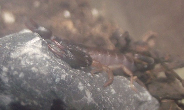 DSCF6051.JPG