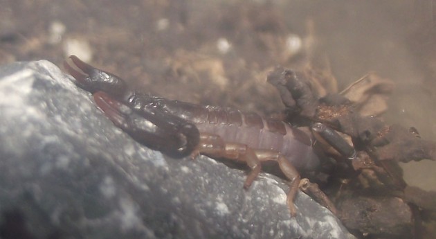 DSCF6054.JPG