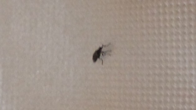 20140417_092025.jpg