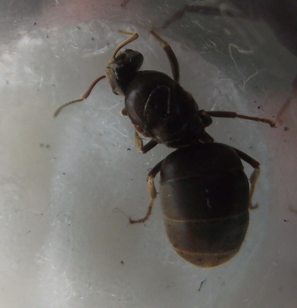 DSCF6452.JPG