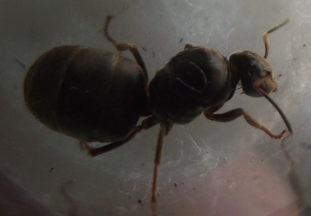 DSCF6450.JPG