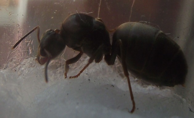 DSCF6453.JPG