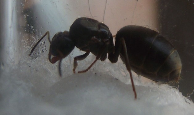 DSCF6454.JPG