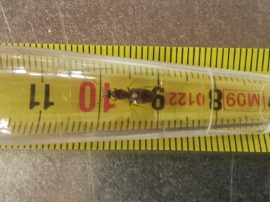 20140623_090411-1.jpg