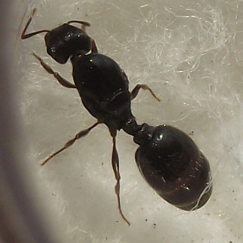 DSCF6475.JPG