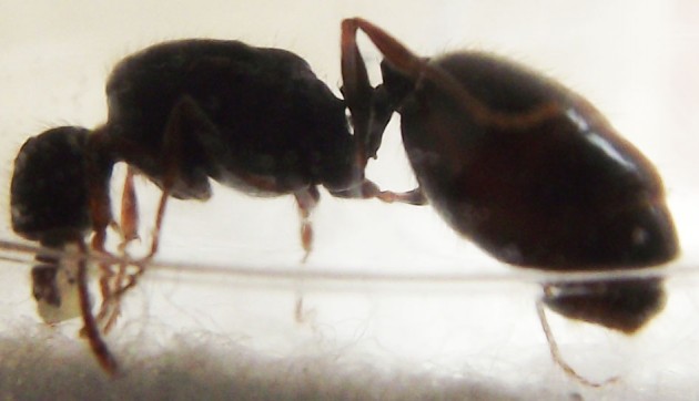DSCF6479.JPG
