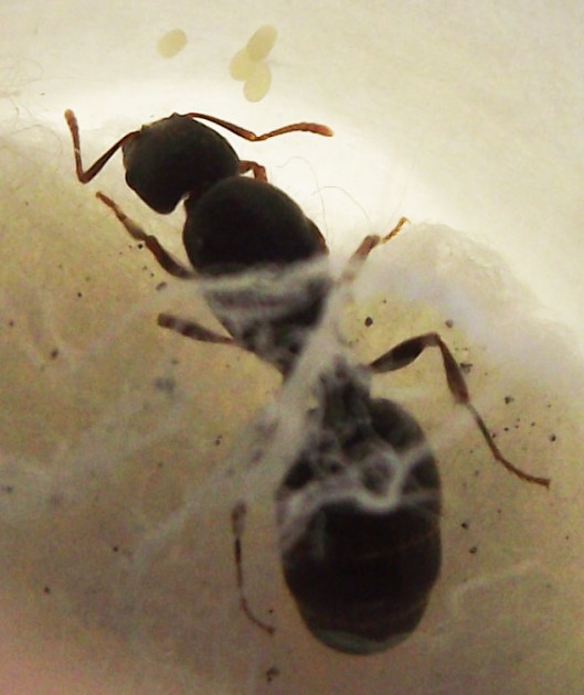 DSCF6477.JPG