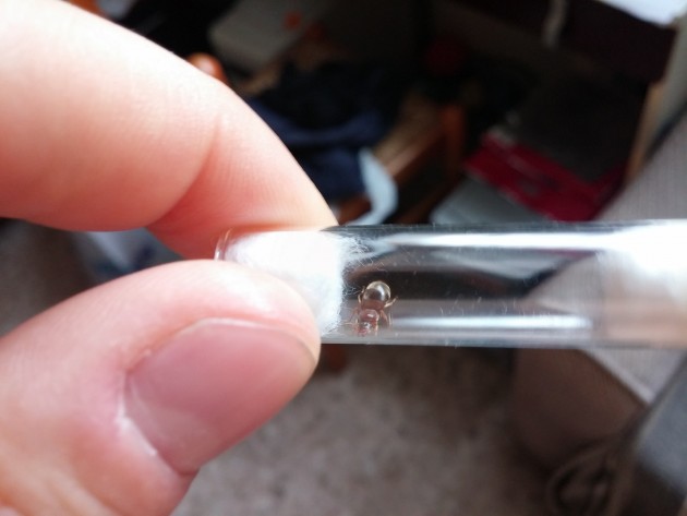 Lasius Sp2.jpg