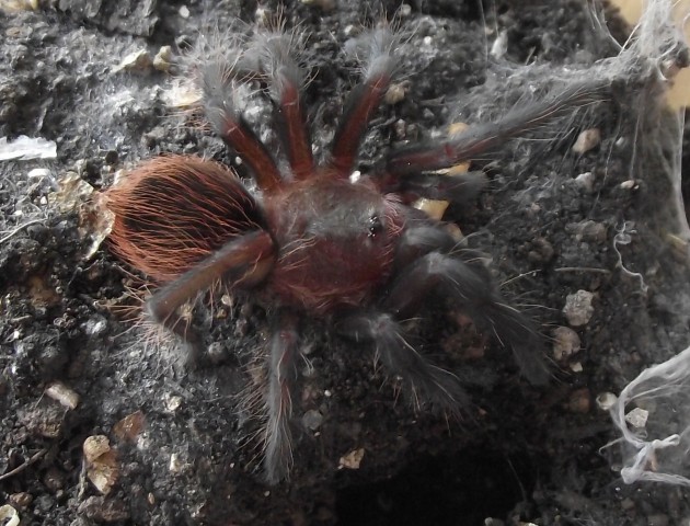 DSCF6440.JPG