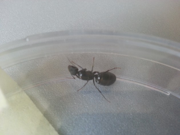 20140703_133817.jpg