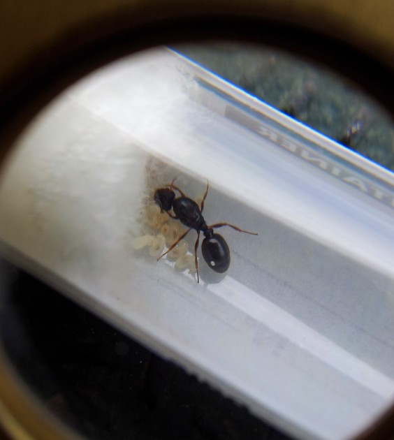 20140710_123945.jpg