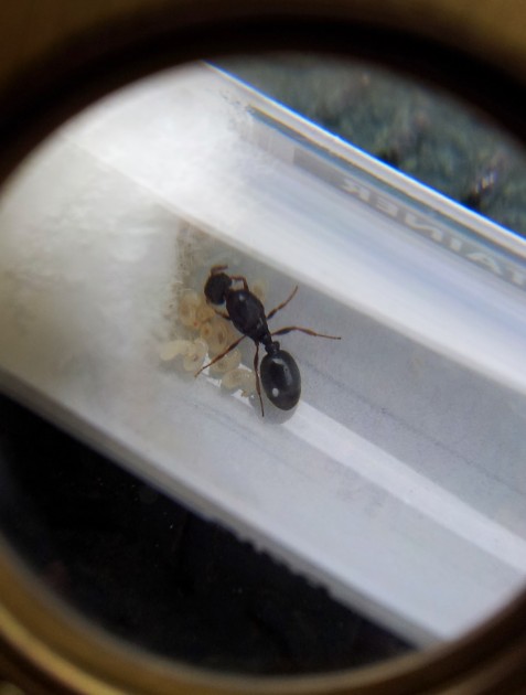 20140710_123949.jpg