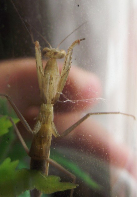 DSCF6500.JPG