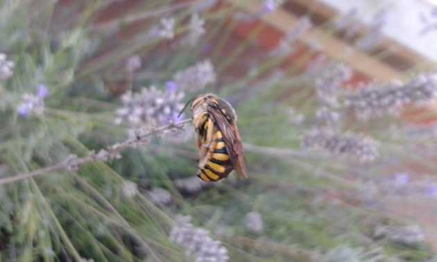 20140715_192309.jpg