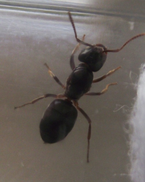 DSCF4338.JPG