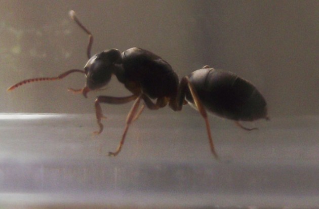DSCF4340.JPG