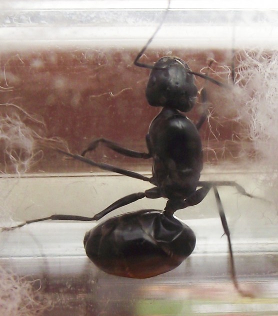 DSCF6533.JPG