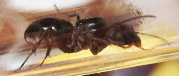 DSCF6535.JPG