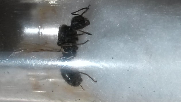 20140810_143859.jpg