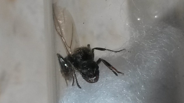 20140810_143932.jpg