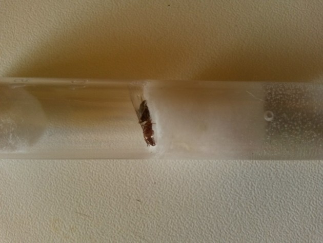 20140811_114459.jpg