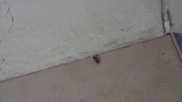 20140814_142423.jpg