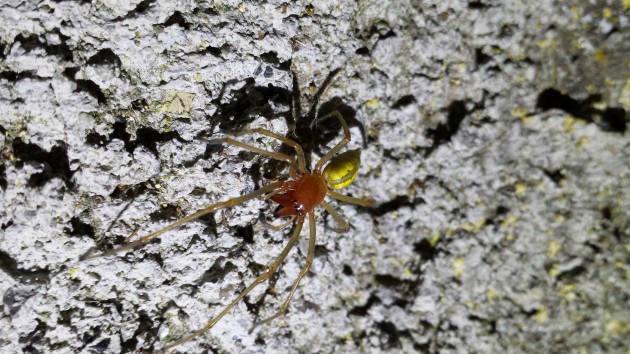 20140818_230034.jpg