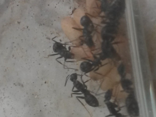 20140825_164014.jpg