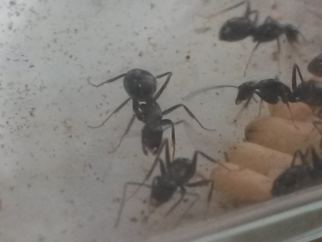 20140825_164054.jpg