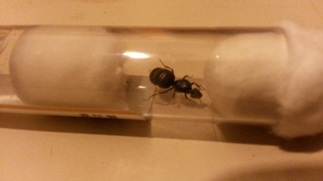 20140909_201804.jpg