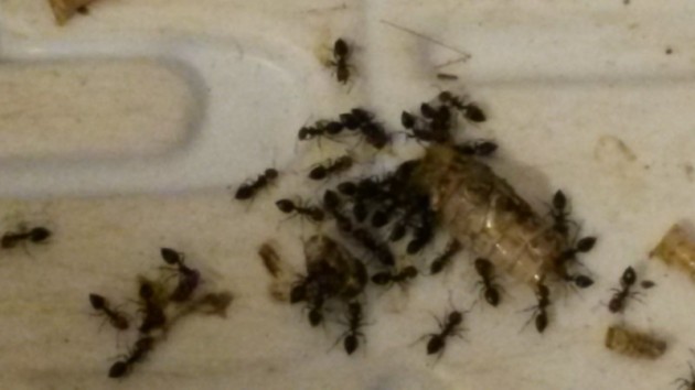 20140910_173210.jpg