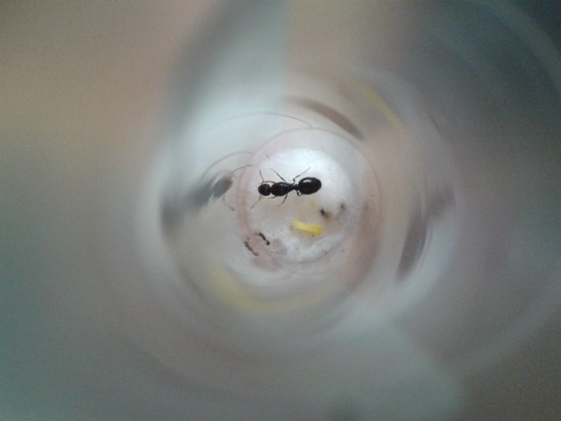 20140929_172003.jpg