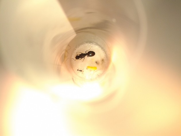 20140929_171946.jpg