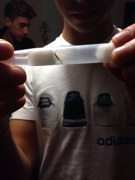 IMG-20141011-WA0008.jpg
