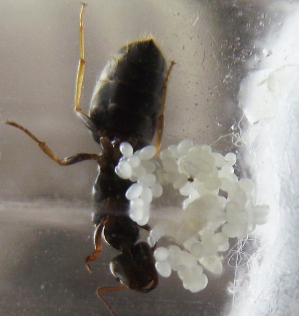 DSCF3551.JPG