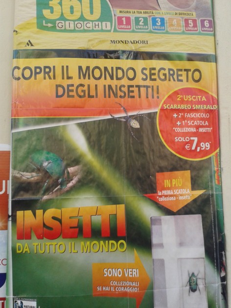 mondo_degli_insetti.jpg