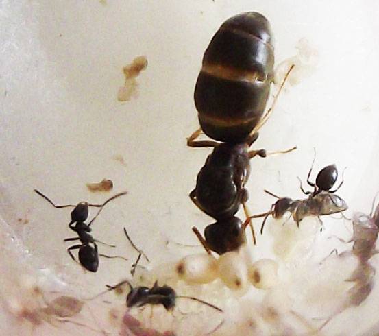 DSCF3899.JPG