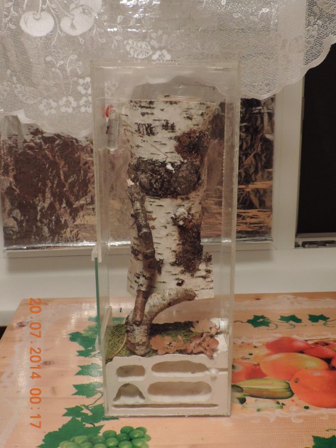 2013 090.jpg