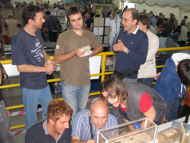 Entomodena 08.JPG