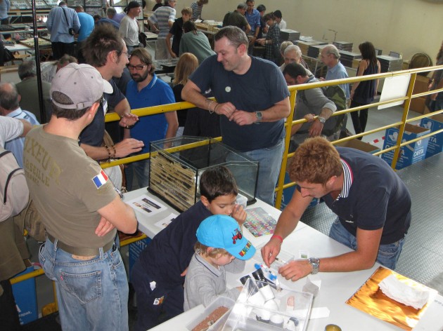 Entomodena 17.JPG