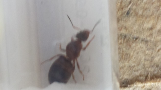 20150708_105444.jpg